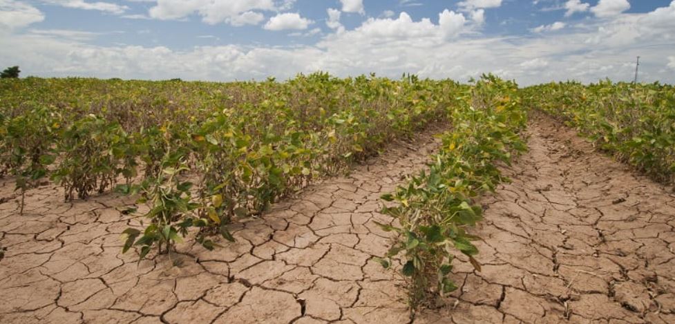 Water Management Strategies for Drought-Prone Regions
